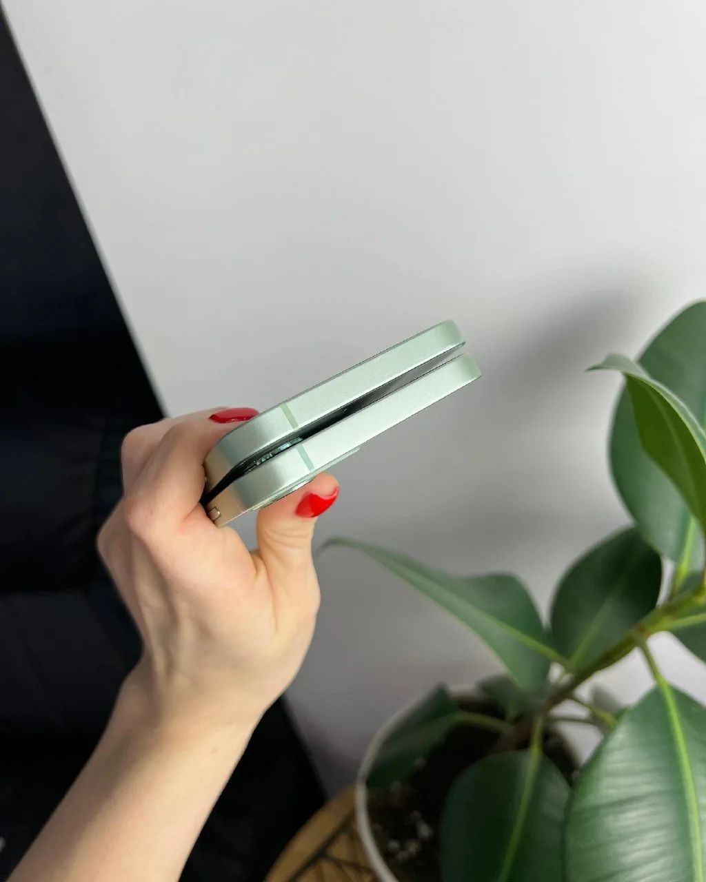 photo_2023-04-26_08-52-46