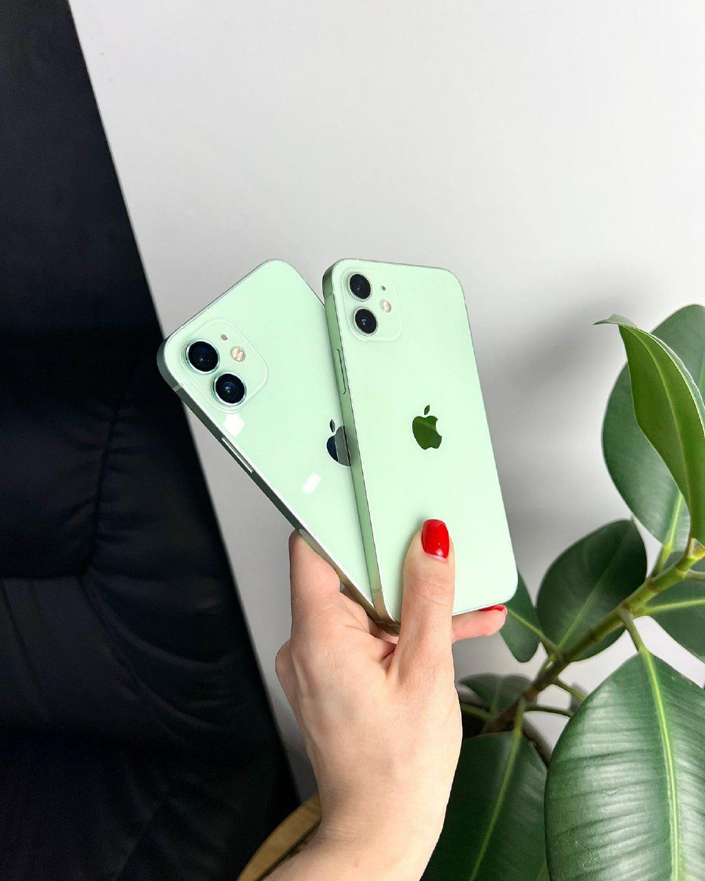 photo_2023-04-26_08-52-52